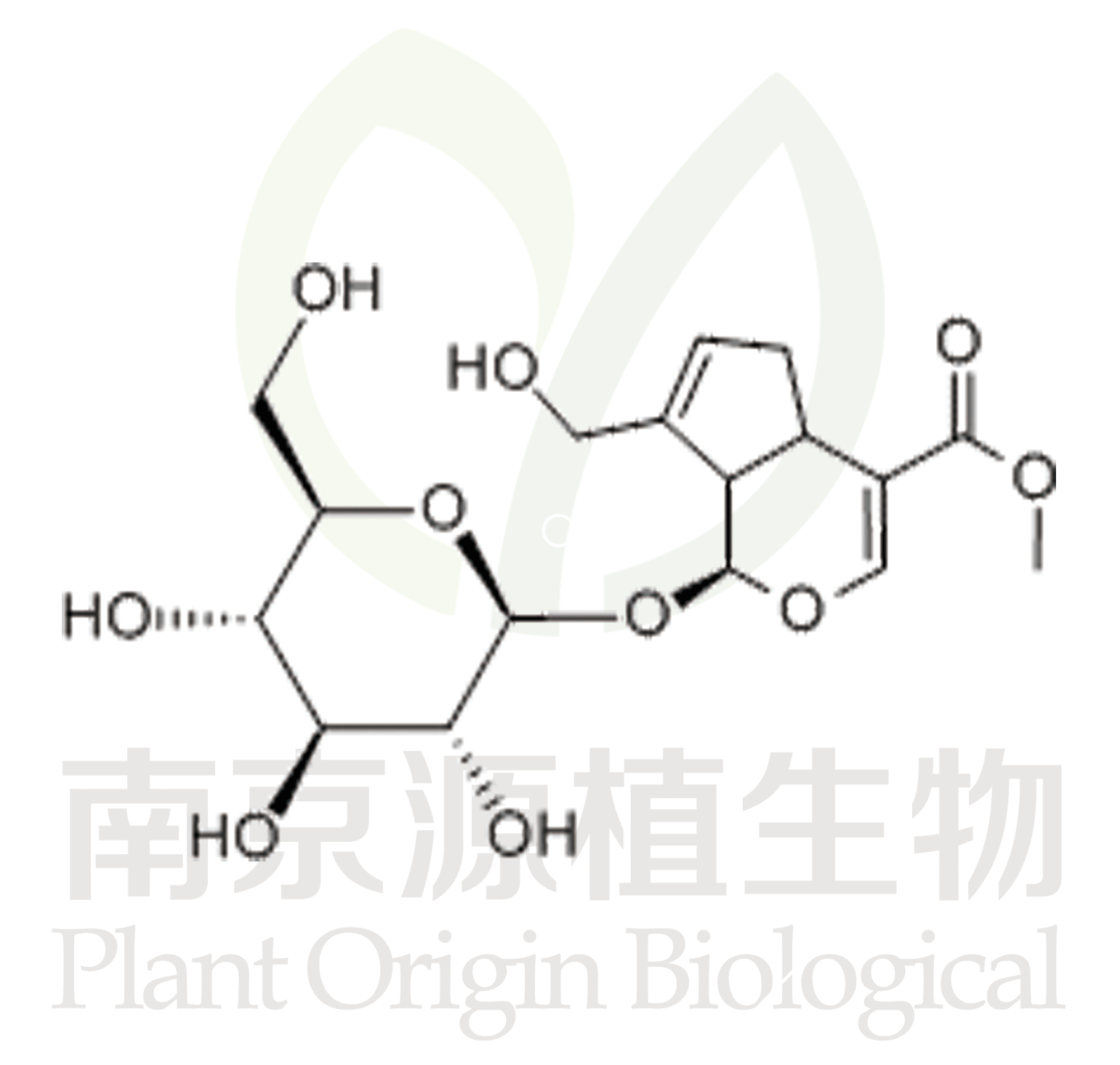 梔子苷