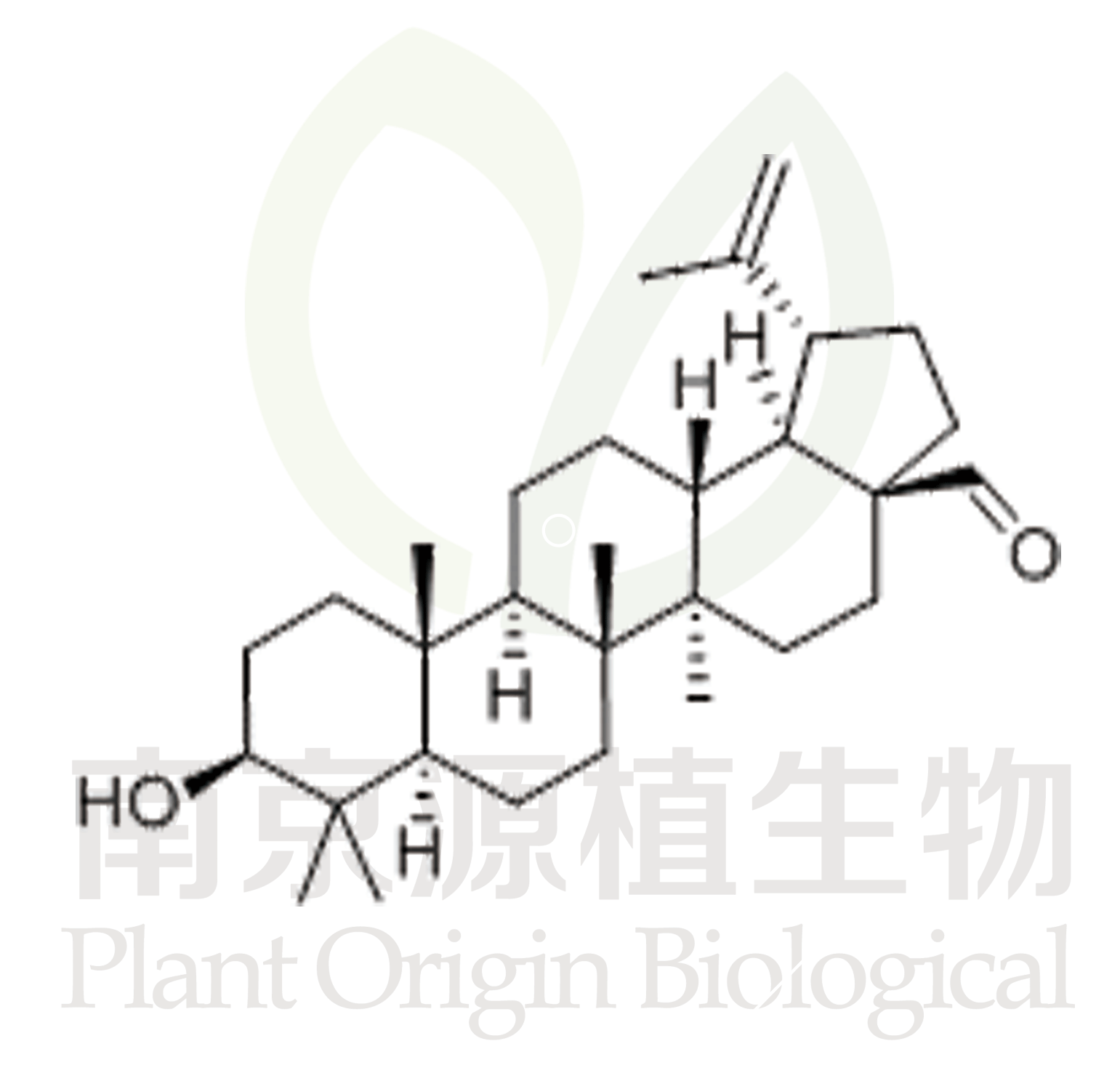 白樺脂醛