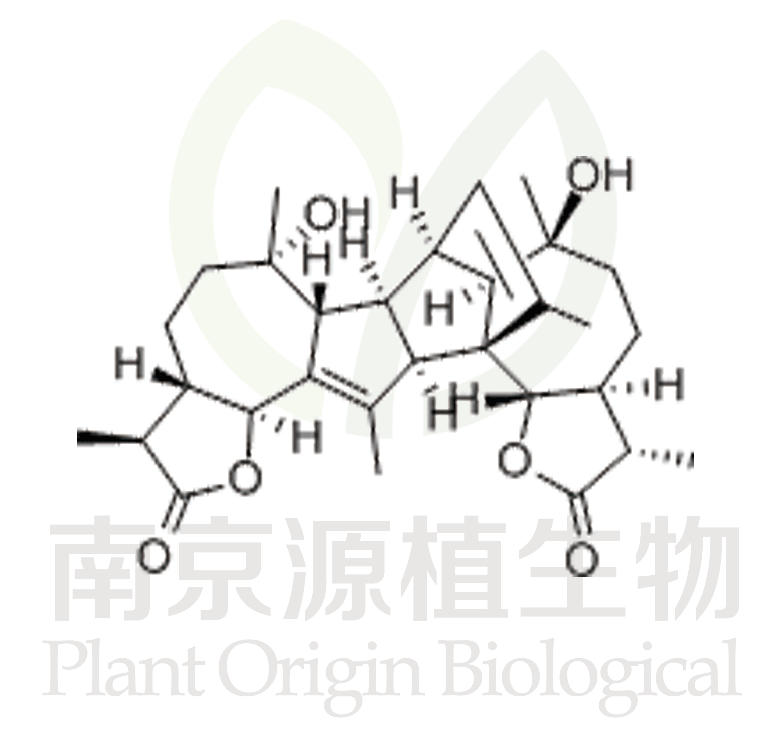 洋艾素