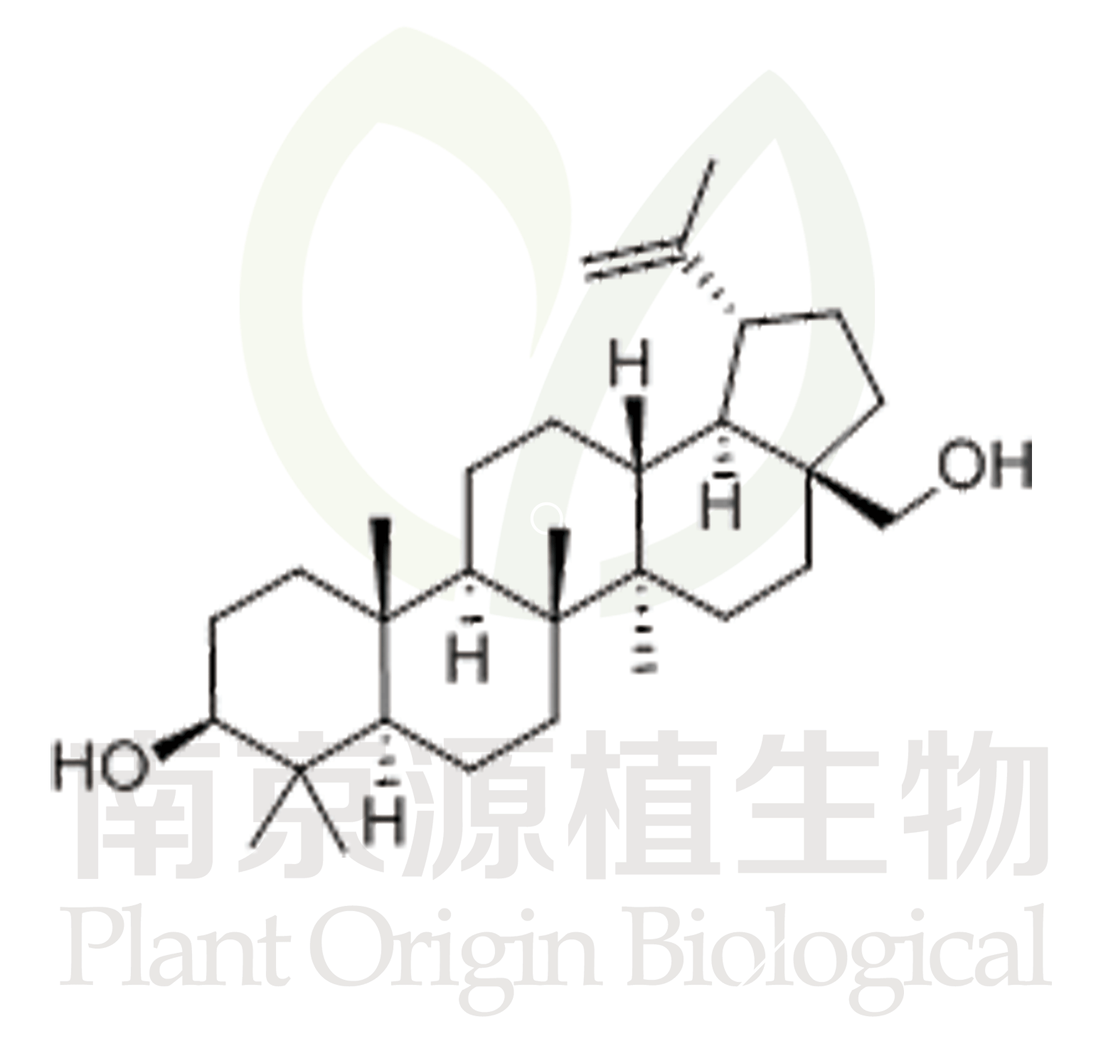 白樺脂醇