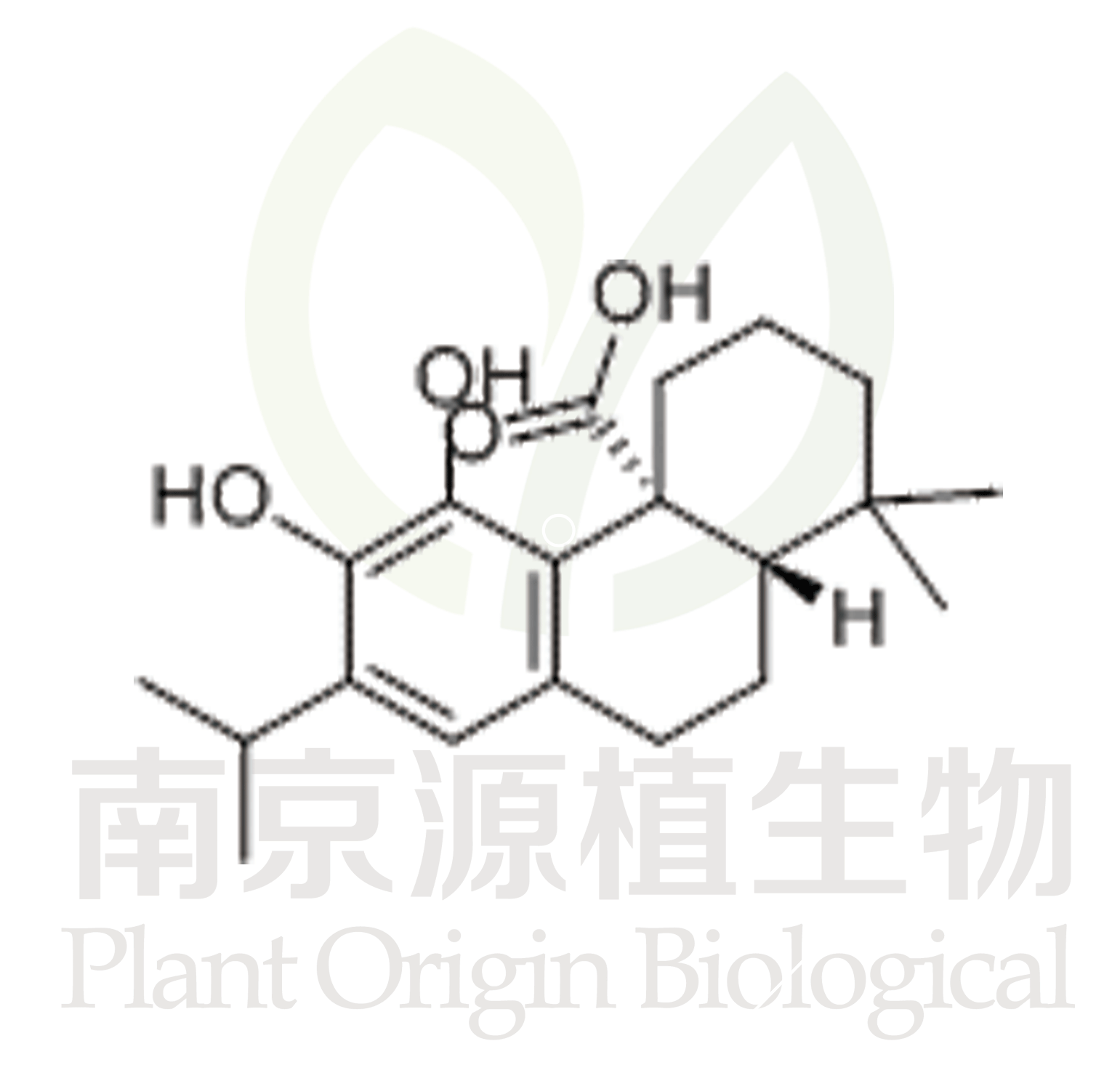 鼠尾草酸