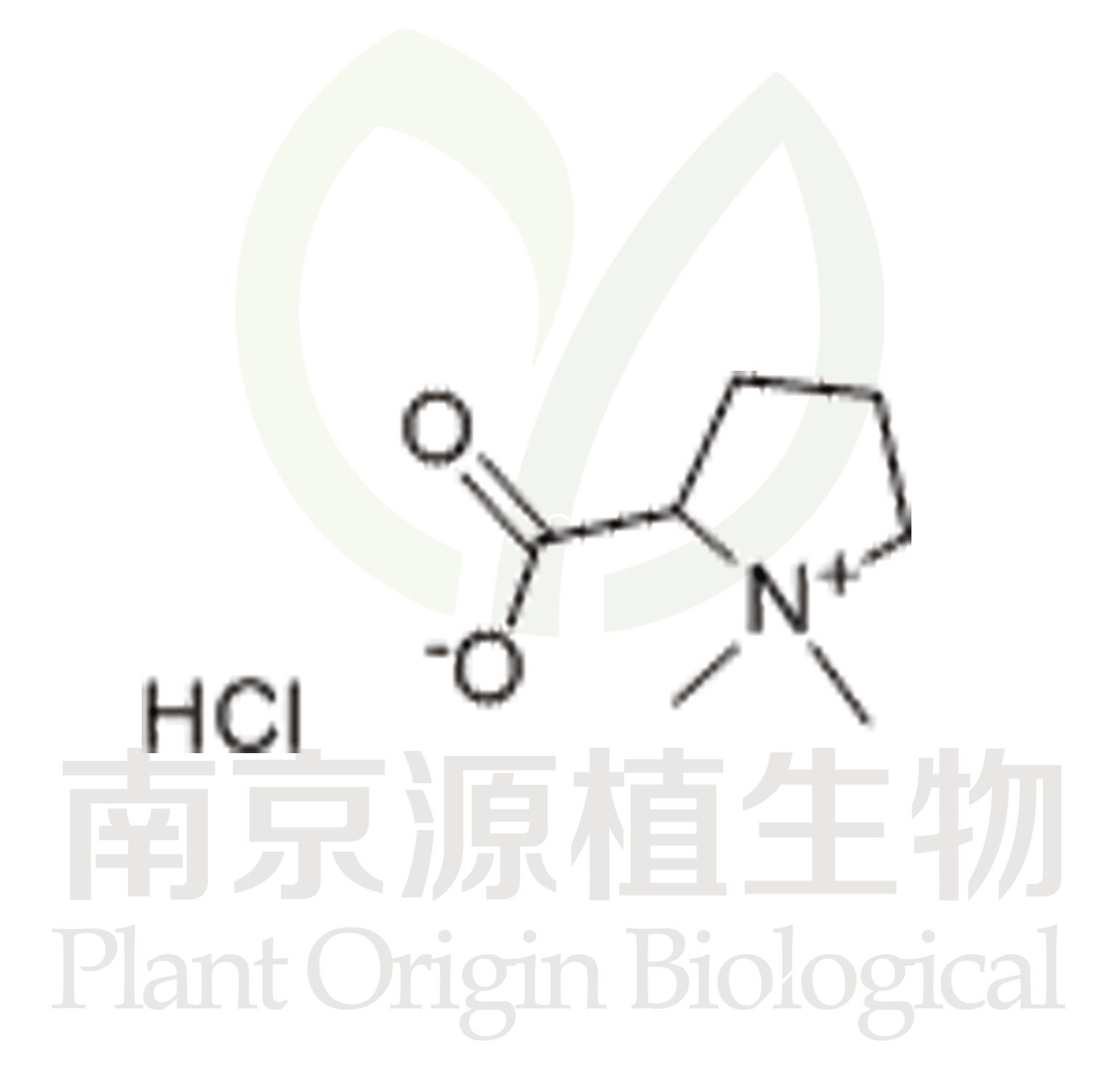 鹽酸水蘇堿