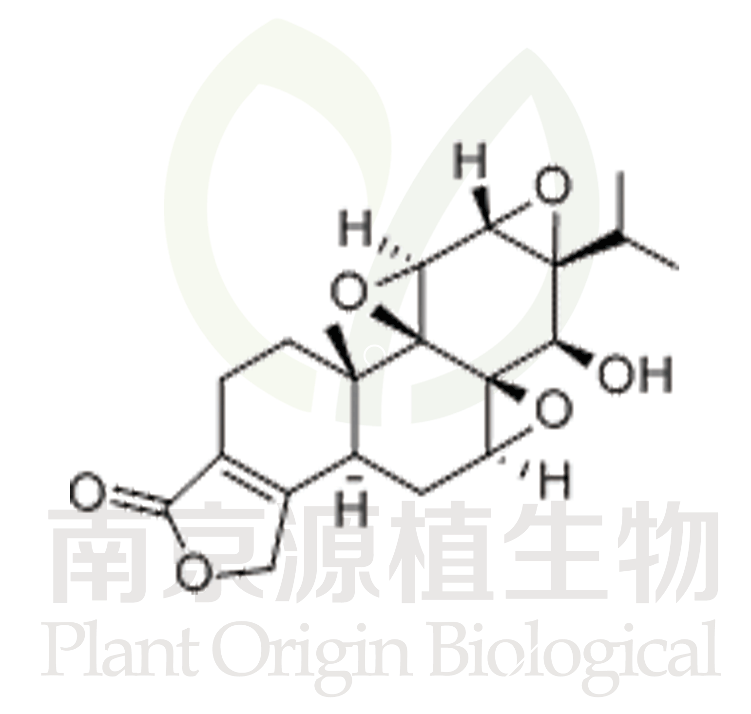 雷公藤甲素