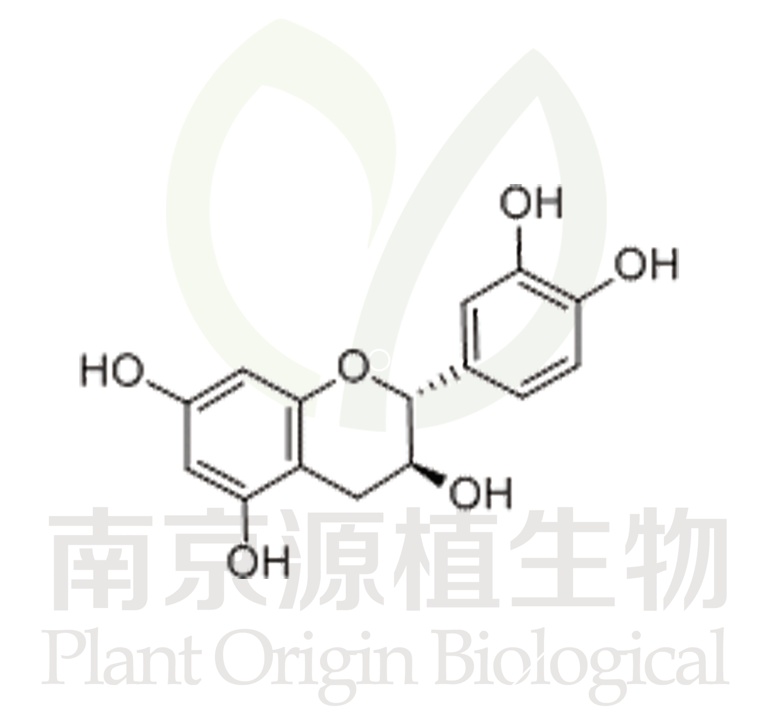 儿茶素