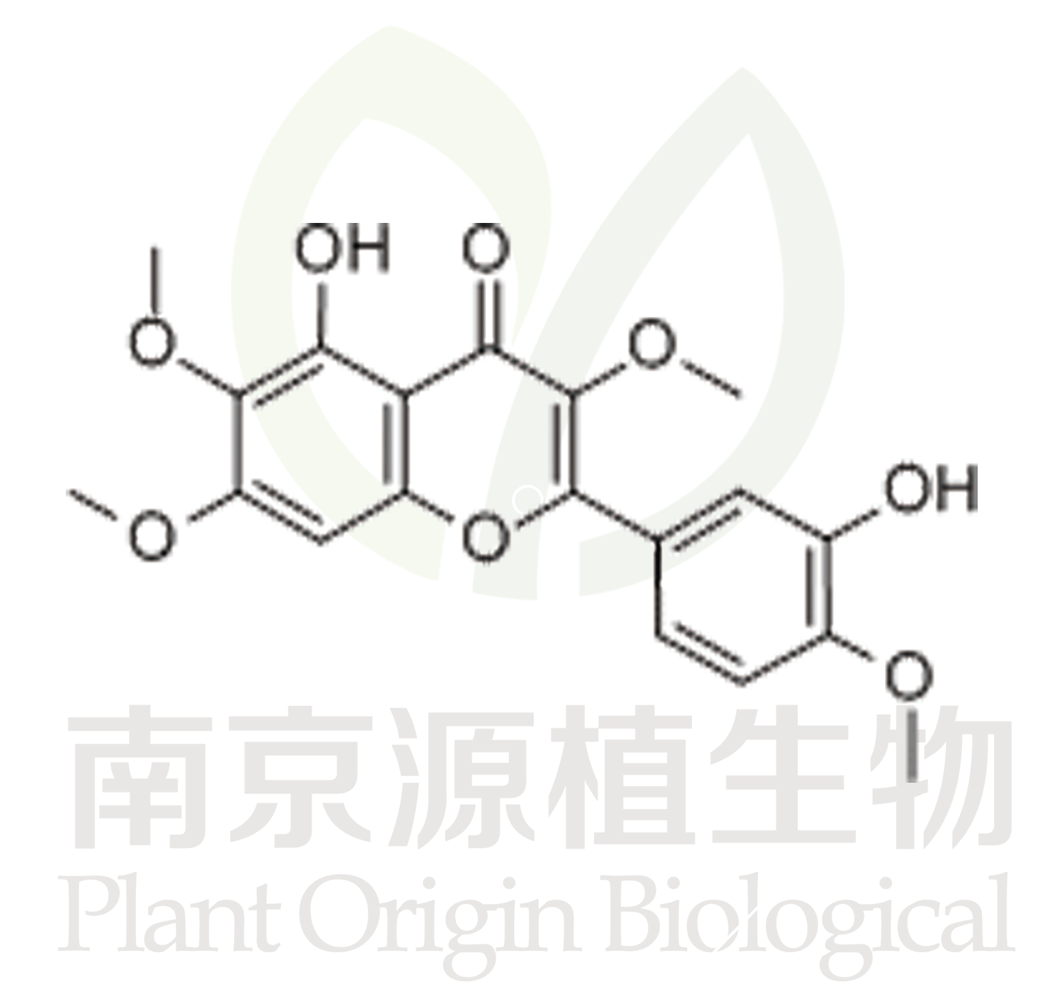 蔓荊子黃素