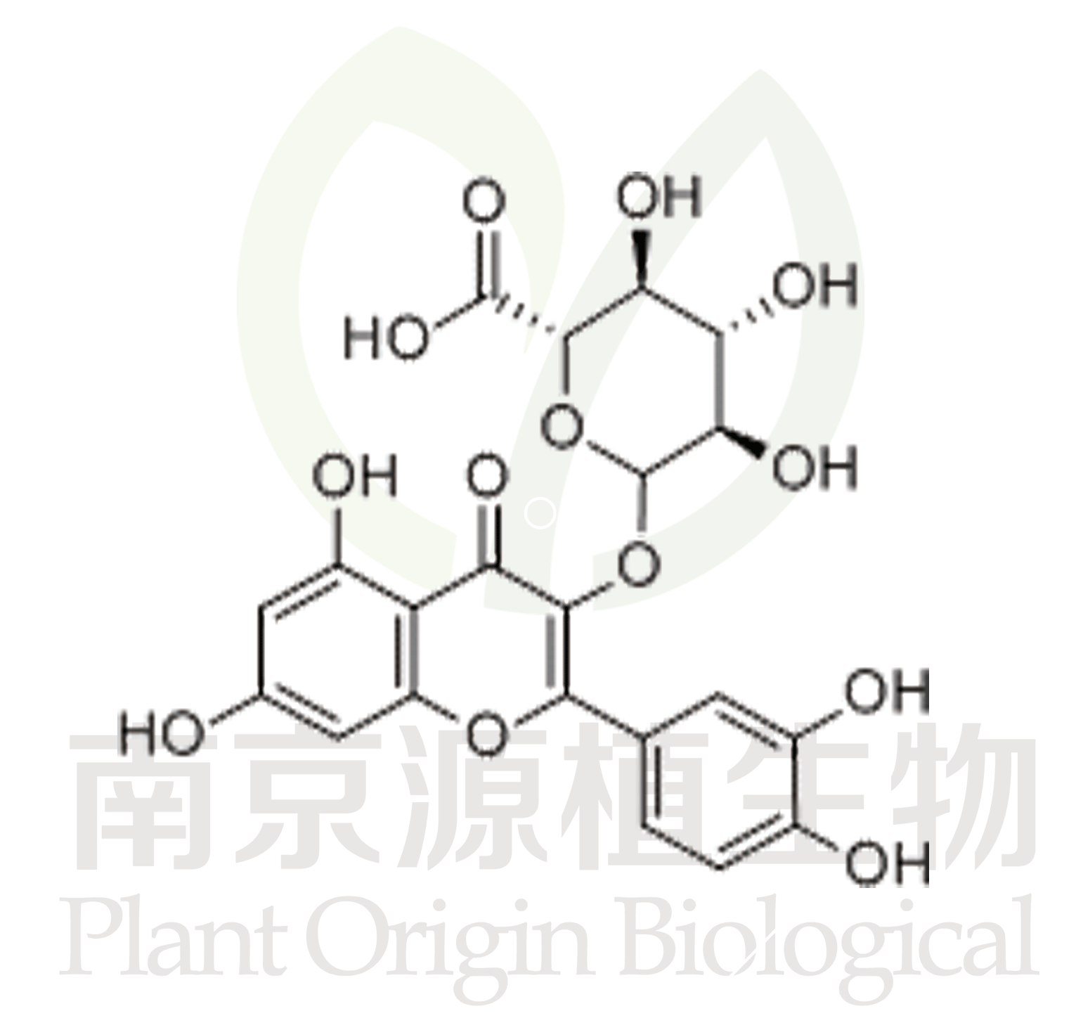 槲皮素-3-葡萄糖醛酸苷