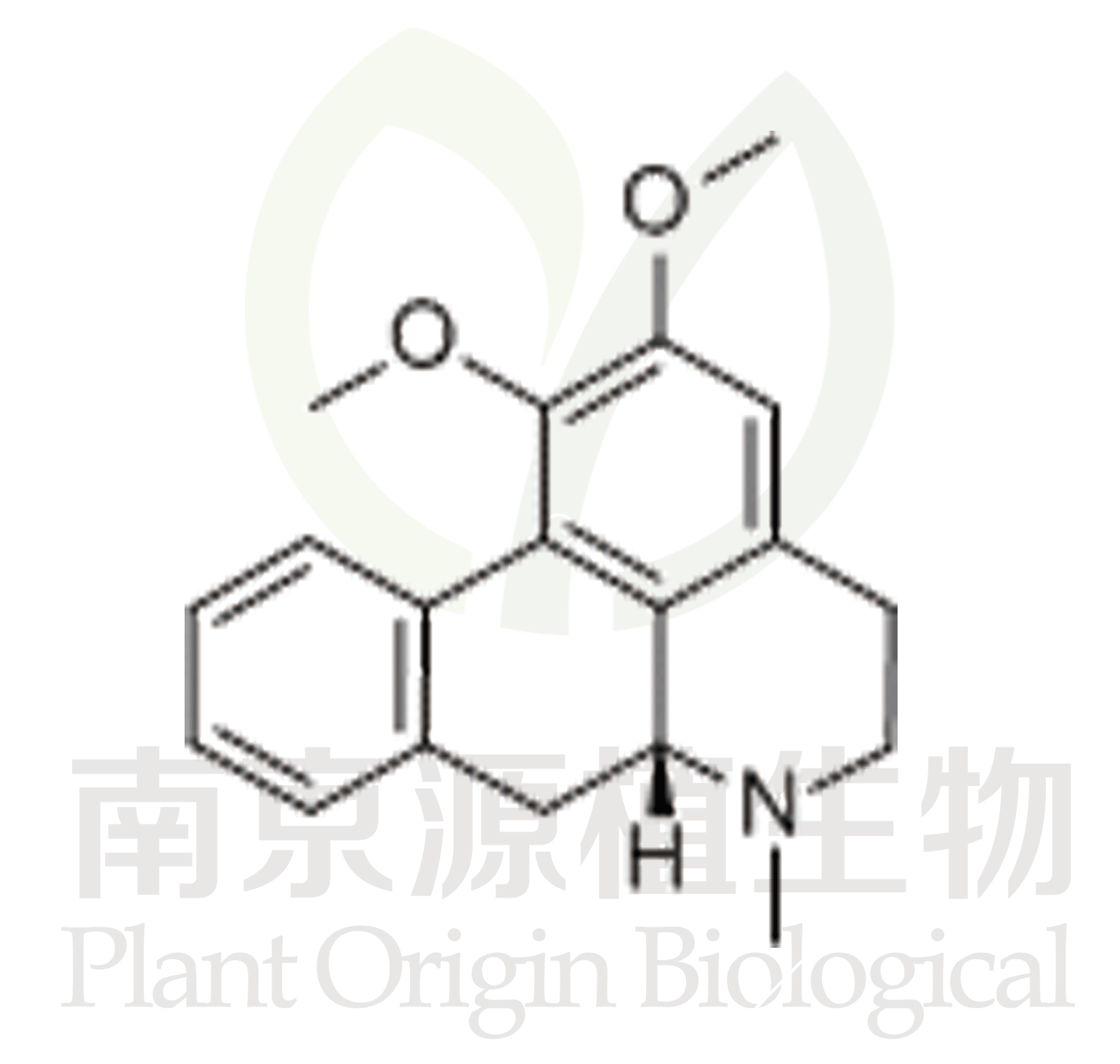 荷葉堿