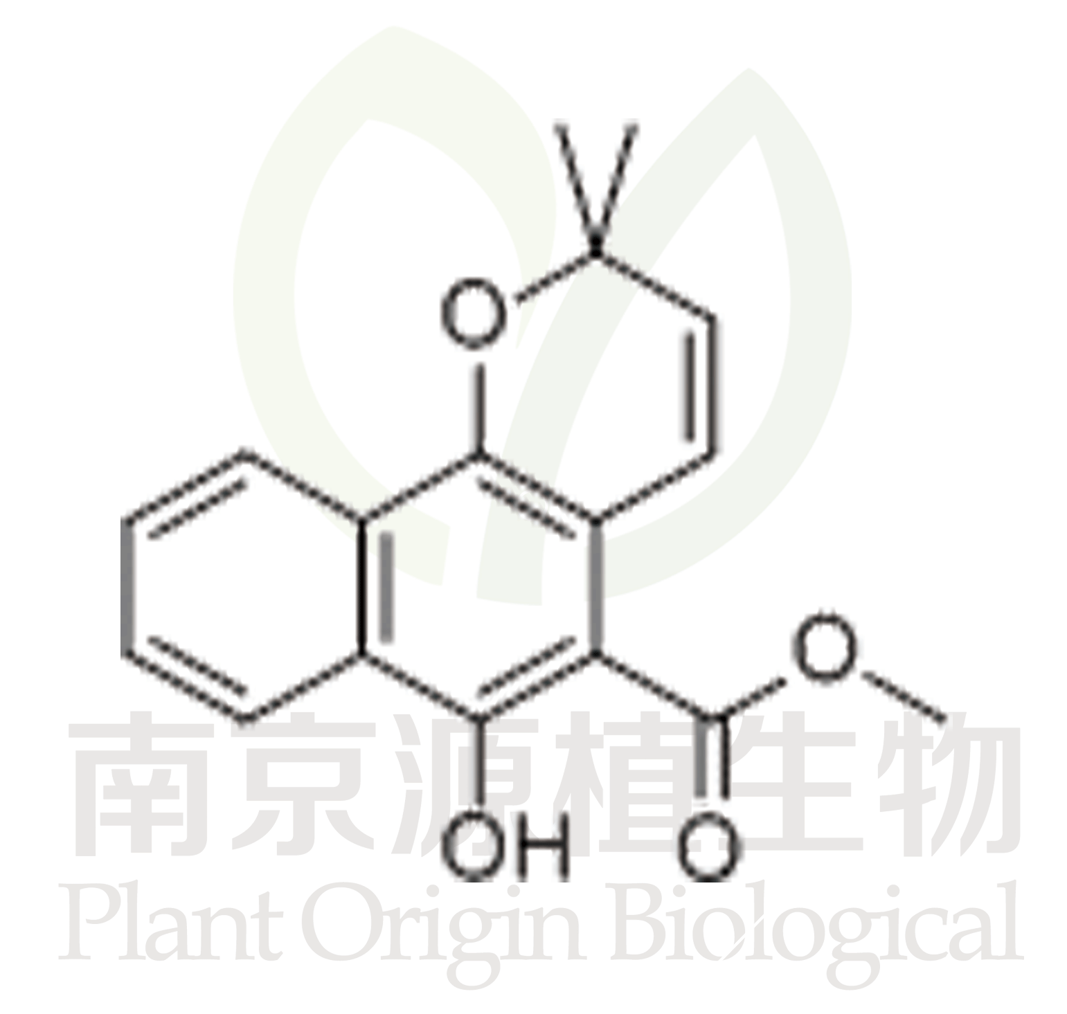 大葉茜草素