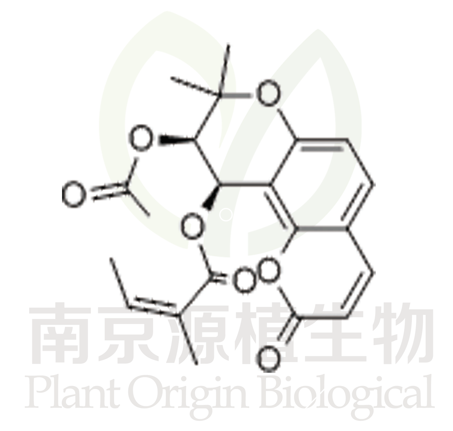 北美芹素