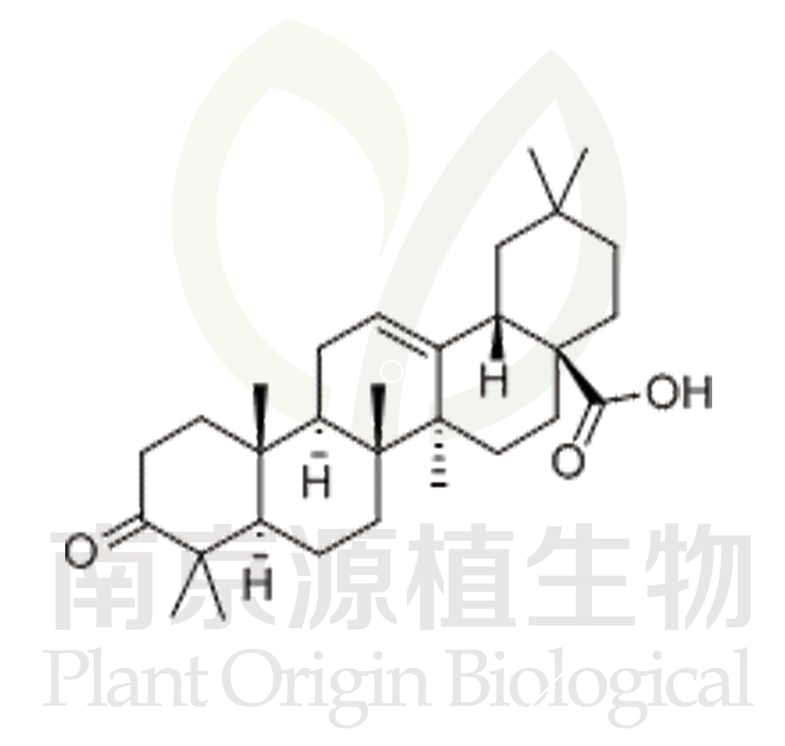 齊墩果酮酸